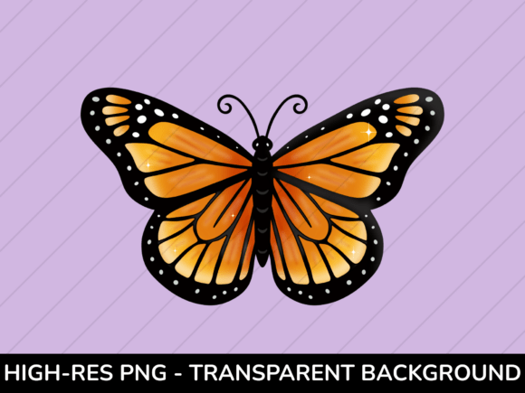 Monarch Butterfly PNG: Vibrant Orange Design