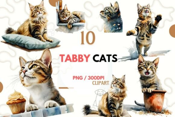 Tabby Cats Watercolor Clipart Set PNG: Elevating Your Creative Projects with Adorable Feline Art